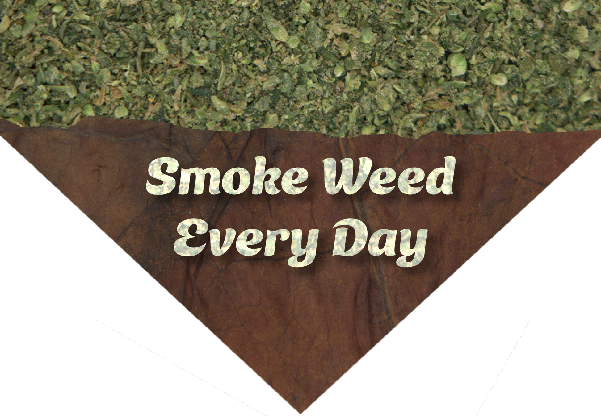 Smoke Weed Everyday - Bandana